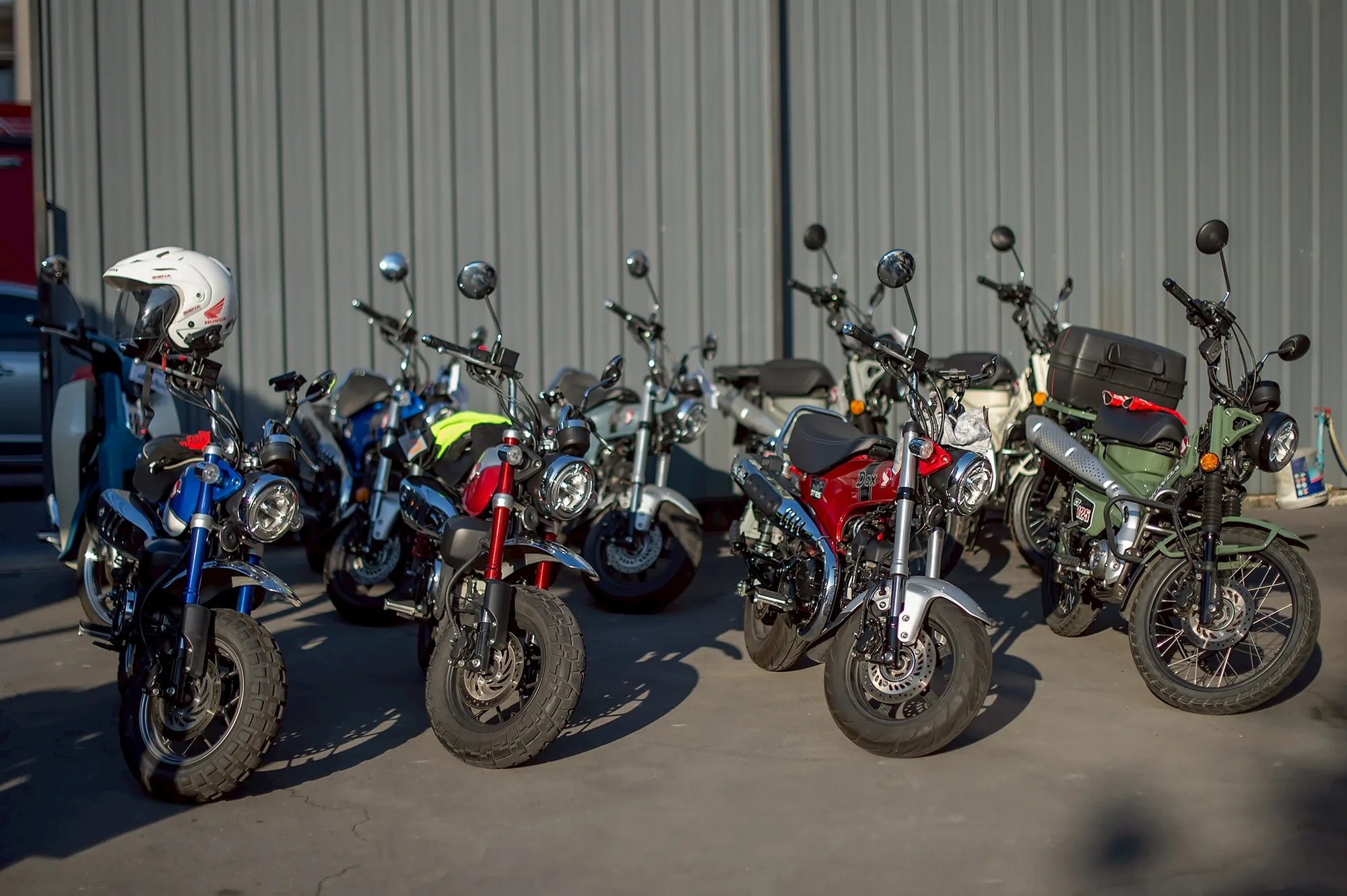 Cub House Cub Nation